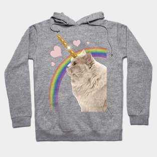 UNICORN CAT Hoodie